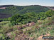Views from Cwmcarn Forest Drive