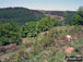 Views from Cwmcarn Forest Drive