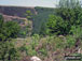 Views from Cwmcarn Forest Drive