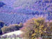 Views on the Cwmcarn Forest Drive