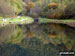 Views on the Cwmcarn Forest Drive