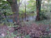 The Sirhowy River, Sirhowy Valley Country Park