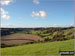 On Bulbarrow Hill