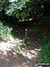Woodland near Great Hucklow