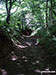 Sunken path near Great Hucklow