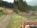 Forestry Works on Harter Fell (Eskdale)