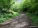 The West Mendip Way through Black Rock Nature Reserve