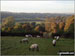 Heading down The South Downs Way to Alfriston at dusk