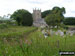 Wild flowers and Sourton Church