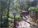 Path through Red Hills Wood, Arnside Knott