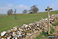 Crossing fields north of Carder Low