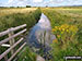 Thorpe and Haddiscoe Fleet, Thorpe Marshes