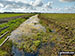 Thorpe and Haddiscoe Fleet, Haddiscoe Marshes