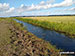Thorpe and Haddiscoe Fleet, Haddiscoe Marshes