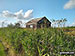 Railway lineside hut from the track near Haddiscoe Cut Bridge