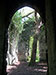 The ruined St Mary Church, East Somerton