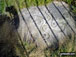The Swastika Stone on Ilkley Moor