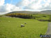 Simon Fell from nr Broadrake Farm